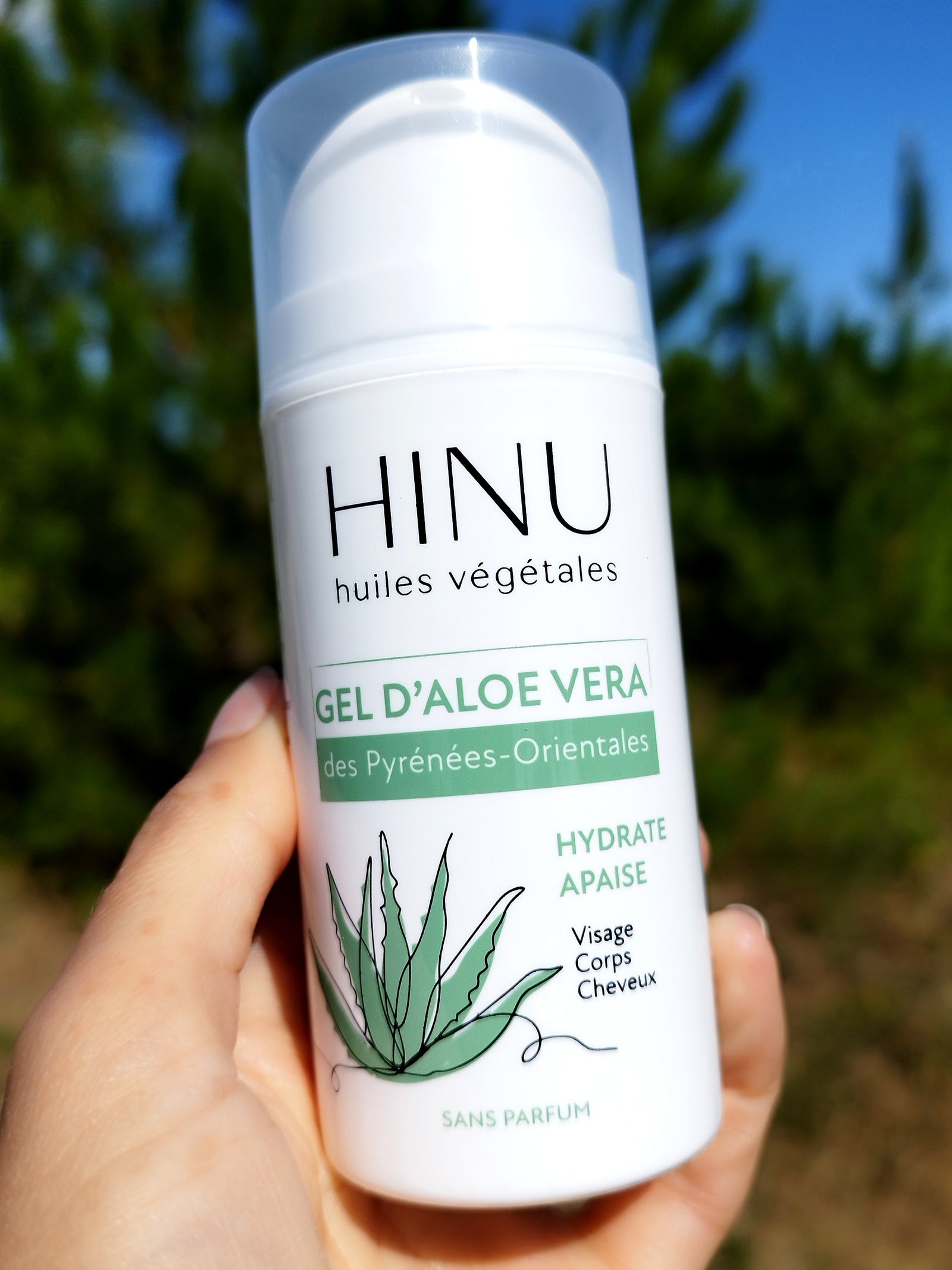 Gel d'Aloe Vera